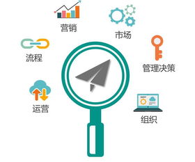 從數(shù)據(jù)應(yīng)用到商業(yè)藍(lán)海 企業(yè)管理領(lǐng)域萬億市場(chǎng)的開拓之路